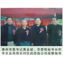 惠州市委書記等領導蒞臨公司視察指導